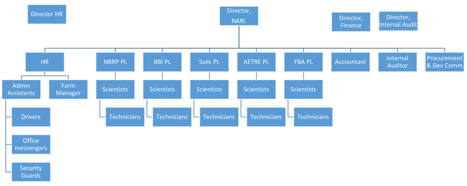 organogram